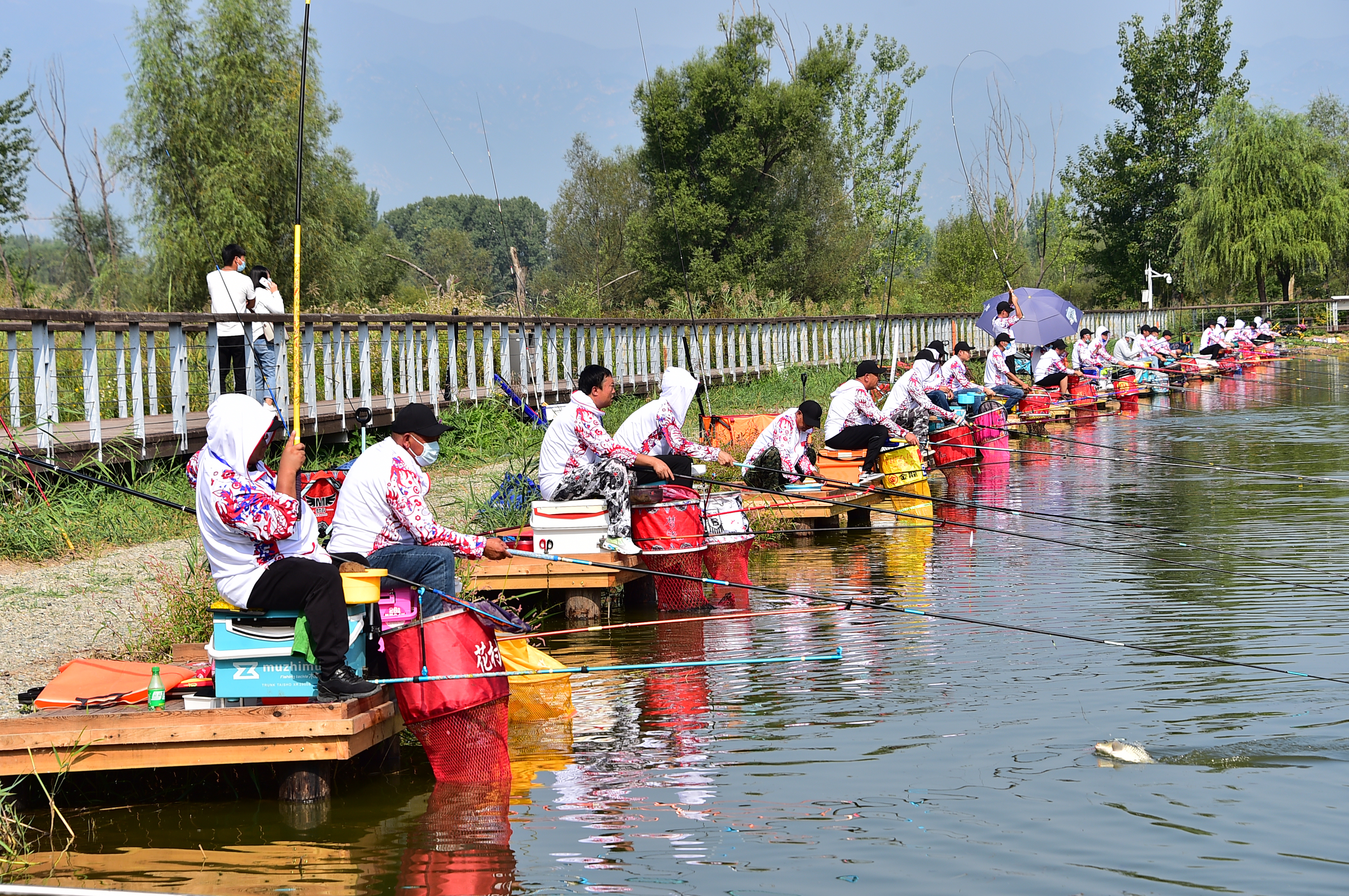 北京世园公园举办第六届钓鱼赛 120名选手激烈角